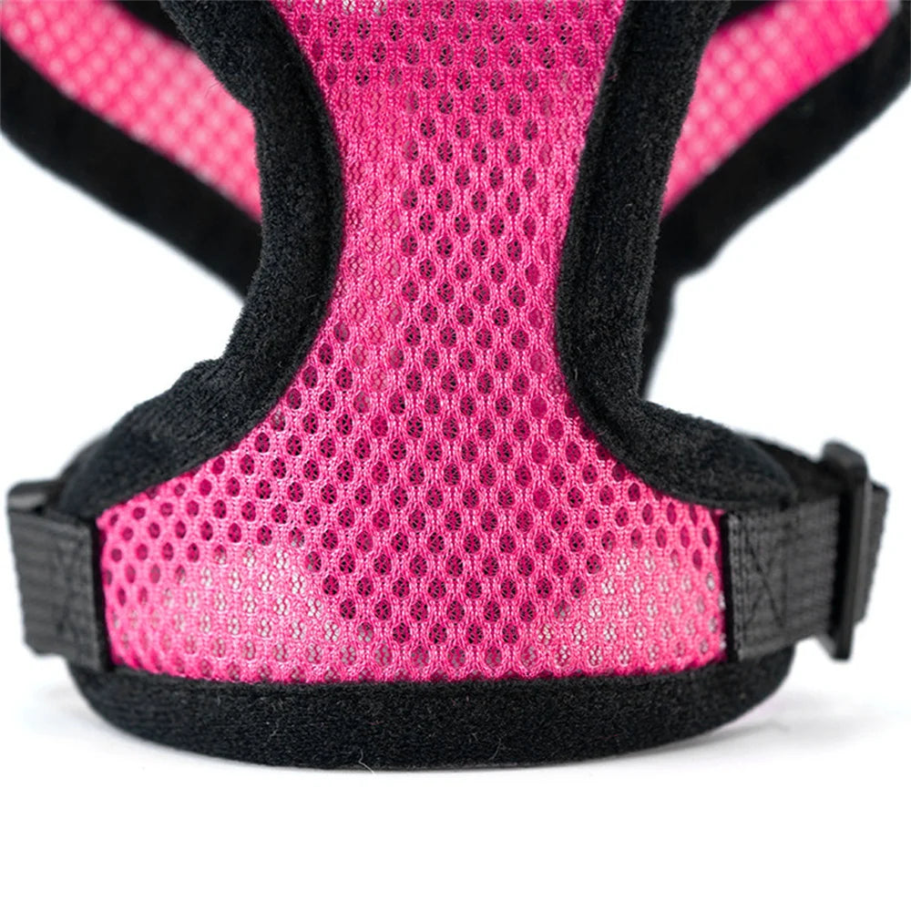 Adjustable Pet Harness – For Cats & Dogs